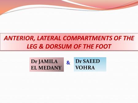 ANTERIOR, LATERAL COMPARTMENTS OF THE LEG & DORSUM OF THE FOOT