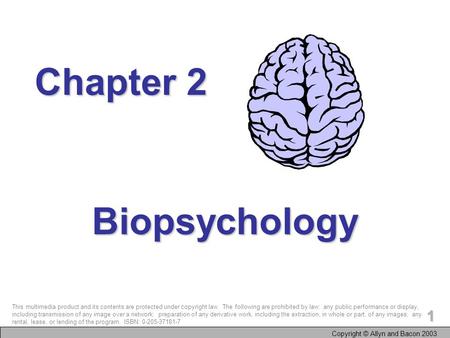 Copyright © Allyn and Bacon 2003 1 Biopsychology Chapter 2 This multimedia product and its contents are protected under copyright law. The following are.