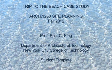 LECTURE ONE INTRODUCTION and OVERVIEW ARCH 1250 SITE PLANNING NYC COLLEGE OF TECHNOLOGY TRIP TO THE BEACH CASE STUDY ARCH.1250 SITE PLANNING Fall 2012.