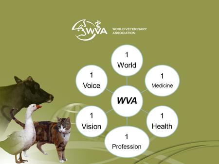 WVA 1 World 1 Medicine 1 Health 1 Profession 1 Vision 1 Voice.