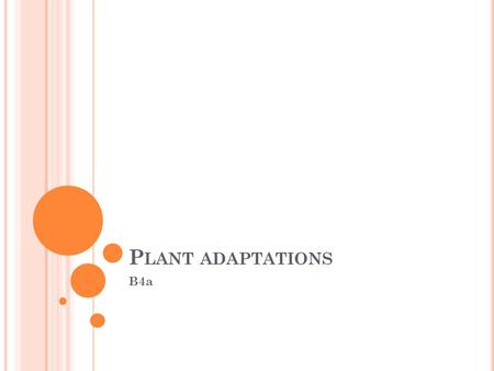Plant adaptations B4a.