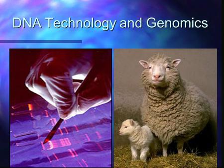 DNA Technology and Genomics. Recombinant DNA n Definition: DNA in which genes from 2 different sources are linked n Genetic engineering: direct manipulation.