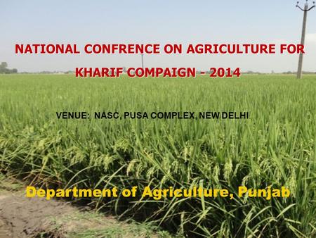 NATIONAL CONFRENCE ON AGRICULTURE FOR KHARIF COMPAIGN - 2014 NATIONAL CONFRENCE ON AGRICULTURE FOR KHARIF COMPAIGN - 2014 Department of Agriculture, Punjab.