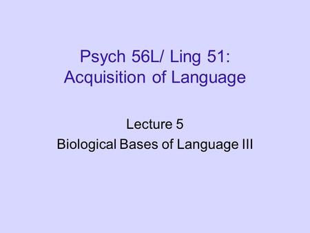 Psych 56L/ Ling 51: Acquisition of Language Lecture 5 Biological Bases of Language III.