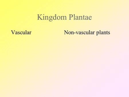 Kingdom Plantae Vascular Non-vascular plants KINGDOM PLANTAE NON-VASCULAR PLANTS ‘ no plumbing’ TERRESTRIAL Mosses The Bryophytes AQUATIC Algae Phylum.
