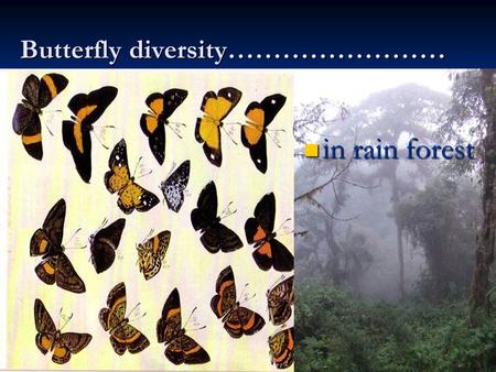 Butterfly diversity…………………… in rain forest. What is ecological diversity? Based on Based on 1) Species richness, i.e. number of species present 1) Species.