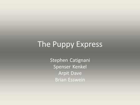 The Puppy Express Stephen Catignani Spenser Kenkel Arpit Dave Brian Esswein.