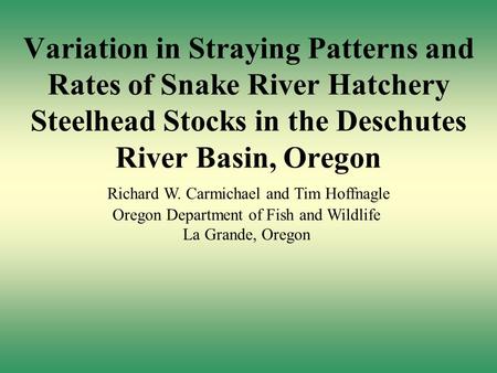 Variation in Straying Patterns and Rates of Snake River Hatchery Steelhead Stocks in the Deschutes River Basin, Oregon Richard W. Carmichael and Tim Hoffnagle.