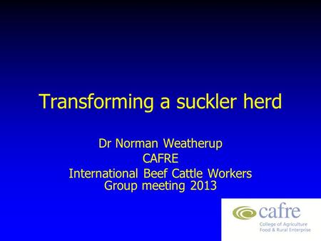 Transforming a suckler herd Dr Norman Weatherup CAFRE International Beef Cattle Workers Group meeting 2013.