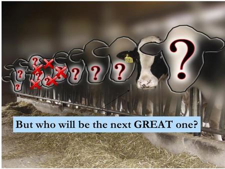 But who will be the next GREAT one?. USA Bull Proofs * Bulls are ranked based upon their DAUGHTER’S (progeny) production and physical characteristics.