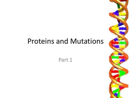 Proteins and Mutations Part 1. Learning Objectives Learn about different types of proteins. Learn about the functions of different proteins. Understand.