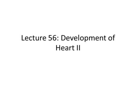 Lecture 56: Development of Heart II. Learning Objectives By the end of this session, the student should be able to: – Describe septum formation in the.