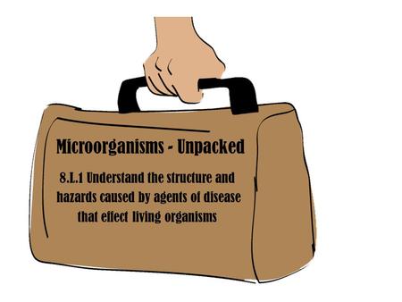 Microorganisms - Unpacked