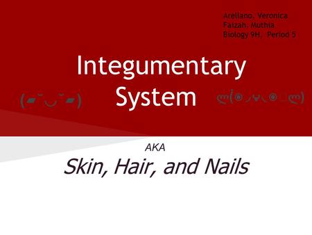 AKA Skin, Hair, and Nails Integumentary System ლ (́ ◉◞౪◟◉‵ლ ) Arellano, Veronica Faizah, Muthia Biology 9H, Period 5 (▰˘◡˘▰)(▰˘◡˘▰)