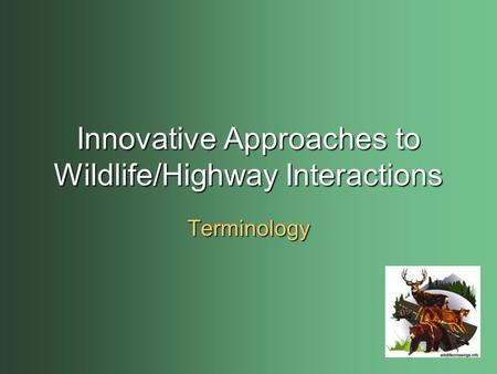 Innovative Approaches to Wildlife/Highway Interactions Terminology.