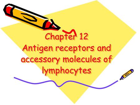 Chapter 12 Antigen receptors and accessory molecules of lymphocytes.