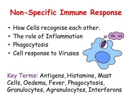 Phagocytosis and the immune response essay