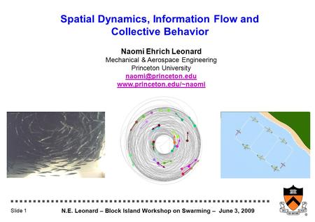N.E. Leonard – Block Island Workshop on Swarming – June 3, 2009 Slide 1 Spatial Dynamics, Information Flow and Collective Behavior Naomi Ehrich Leonard.
