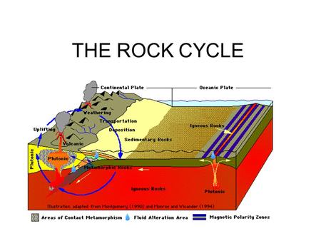 THE ROCK CYCLE. Did you know… True or False? –the elements that make up rocks are never created or destroyed –Rocks can’t transform into other rocks –The.