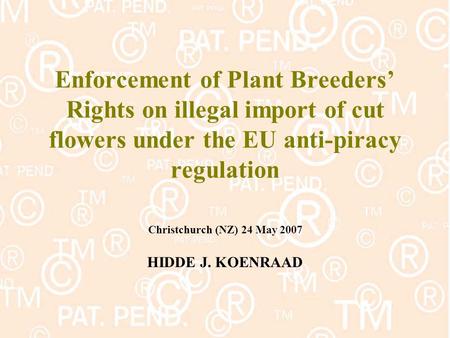 Enforcement of Plant Breeders’ Rights on illegal import of cut flowers under the EU anti-piracy regulation Christchurch (NZ) 24 May 2007 HIDDE J. KOENRAAD.