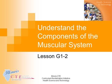 Illinois CTE Curriculum Revitalization Initiative Health Science and Technology Understand the Components of the Muscular System Lesson G1-2.