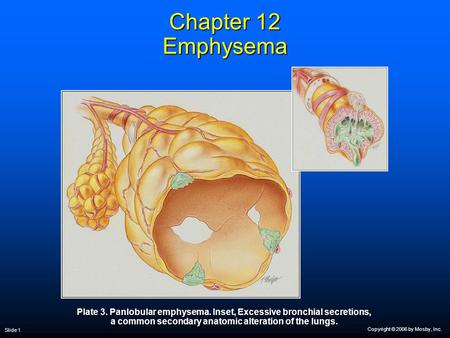 Copyright © 2006 by Mosby, Inc. Slide 1 Chapter 12 Emphysema Plate 3. Panlobular emphysema. Inset, Excessive bronchial secretions, a common secondary anatomic.