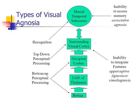 Types of Visual Agnosia