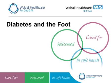 Diabetes and the Foot. Introduction Diabetes can cause foot problems. Some of these problems can occur because the nerves and blood vessels supplying.