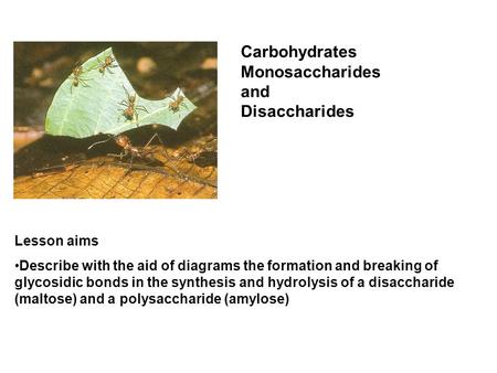 Carbohydrates Monosaccharides and Disaccharides Lesson aims Describe with the aid of diagrams the formation and breaking of glycosidic bonds in the synthesis.