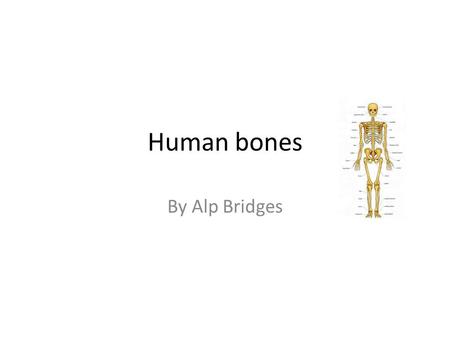 Human bones By Alp Bridges. What are bones made of? They are made of calcium and an example of what you drink that will make your bones develop is milk.