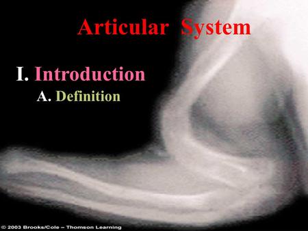 Articular System I. Introduction A. Definition.