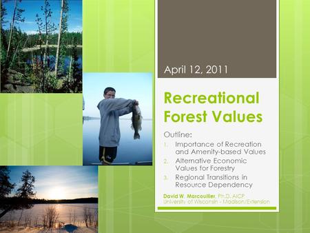 Recreational Forest Values Outline: 1. Importance of Recreation and Amenity-based Values 2. Alternative Economic Values for Forestry 3. Regional Transitions.
