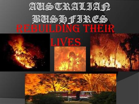REBUILDING THEIR LIVES. The effects of the bushfire.