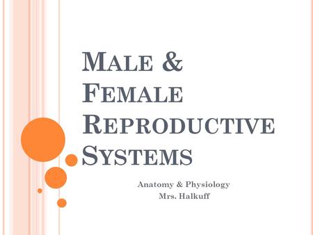 Male & Female Reproductive Systems