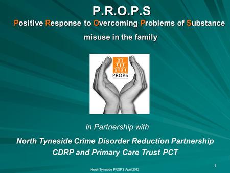 1 P.R.O.P.S Positive Response to Overcoming Problems of Substance misuse in the family P.R.O.P.S Positive Response to Overcoming Problems of Substance.
