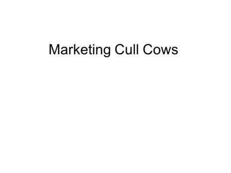 Marketing Cull Cows. Cattle Cycle & Cull Cows Cattle Cycle –Long as 15 years ~ short as 7 –8-10 years of profitability Counter – Cyclically 1)Cost of.