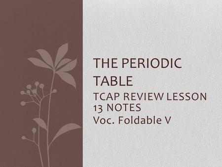 TCAP REVIEW LESSON 13 NOTES Voc. Foldable V