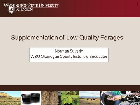 1 Supplementation of Low Quality Forages Norman Suverly WSU Okanogan County Extension Educator.