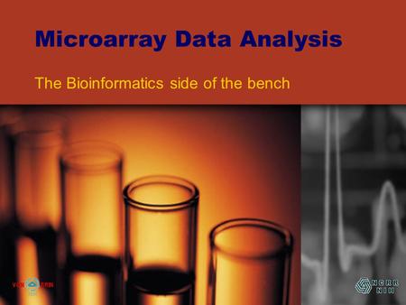 Microarray Data Analysis The Bioinformatics side of the bench.