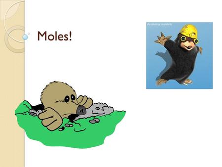 Moles!. Whatcha talkn’ about a mole? First…a dozen. 12 cookies = 12 bagels = 12 cans = 12 footballs = 12 dance moves = As scientist we need to determine.