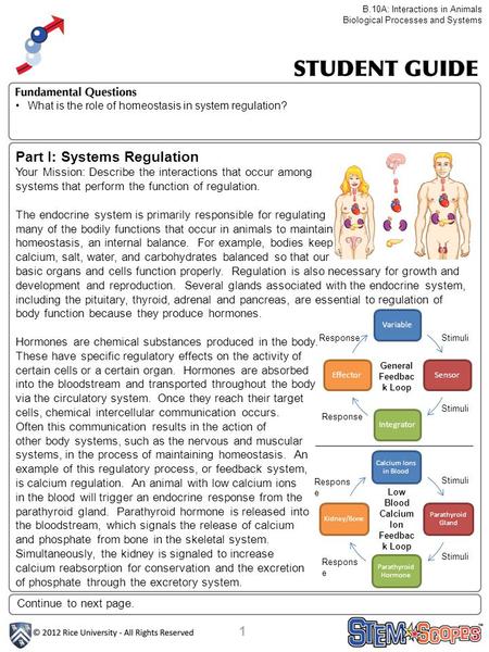1 Continue to next page. B.10A: Interactions in Animals Biological Processes and Systems Part I: Systems Regulation Your Mission: Describe the interactions.