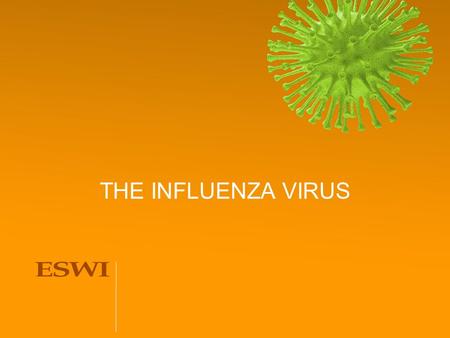 THE INFLUENZA VIRUS. RNA virus Family: Genus: Types: Classification Type AType B Influenza virus Type C Influenza C virus ORTHOMYXOVIRIDAE Kingsbury DW.