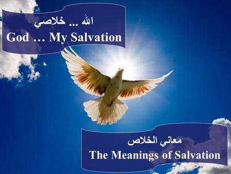 The Meanings of Salvation