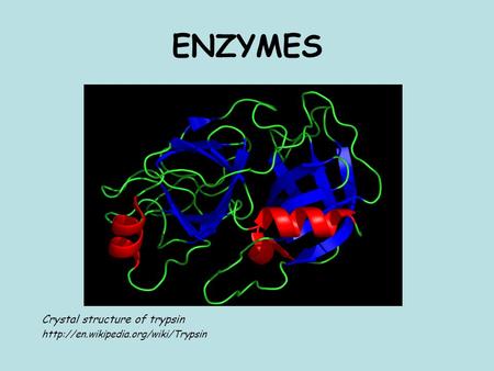 ENZYMES Crystal structure of trypsin