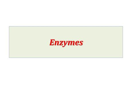 Enzymes. Definition of an enzyme Enzymeprotein Enzyme is protein catalystincrease the rate of reactions catalyst (i.e. increase the rate of reactions)