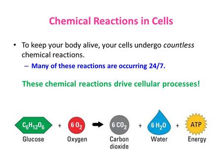 Chemical Reactions in Cells To keep your body alive, your cells undergo countless chemical reactions. – Many of these reactions are occurring 24/7. These.
