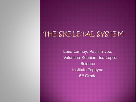 Luna Lannoy, Paulina Joo, Valentina Kochian, Isa Lopez Science Instituto Tepeyac 6 th Grade.