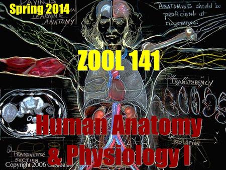 ZOOL 141 Human Anatomy & Physiology I Spring 2014.