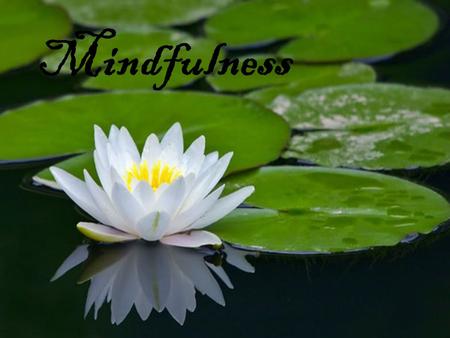 Mindfulness. What is “mindfulness”? Mindfulness is the intentional, accepting and non-judgmental focus of one's attention on the emotions, thoughts.