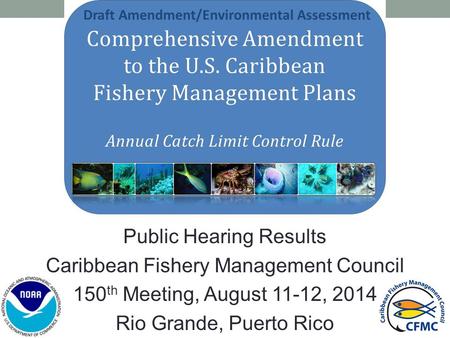 Public Hearing Results Caribbean Fishery Management Council 150 th Meeting, August 11-12, 2014 Rio Grande, Puerto Rico Draft Amendment/Environmental Assessment.